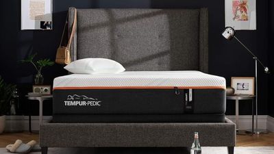 How to find a good firm mattress for back pain among Amazon's Prime Day deals — 5 tips from an expert bed tester
