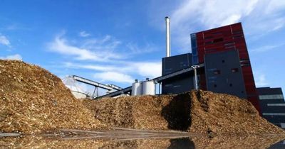 'Near net-zero': Redbank Power Station hits back at burning biomass concern