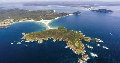 Bushwalker injured in fall at Fingal Bay, emergency services on the scene