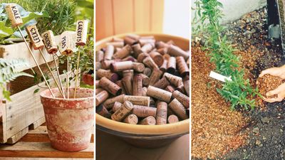 How to use wine corks in your garden – 7 ways to reuse the sustainable material