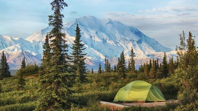 This is the hardest-to-book campsite in the entire US (and here's where you can camp instead)