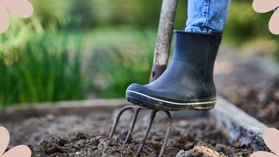 5 common summer gardening mistakes to avoid – to maintain a healthy plot for the months ahead