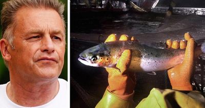 Chris Packham calls on restaurant giant to remove farmed salmon from menu