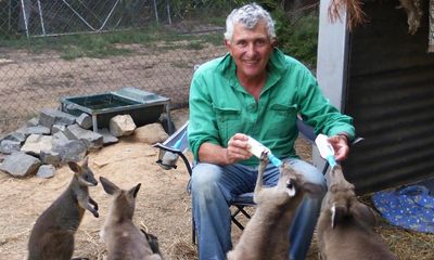 Wildlife rescue group Wires faces crunch vote amid volunteer discontent over funds raised after bushfires