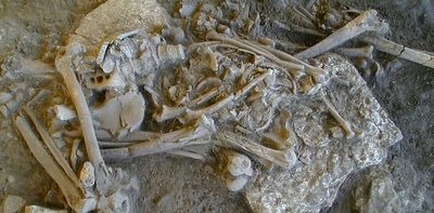 Did plague really decimate Neolithic farmers 5,200 years ago, as a new study suggests?