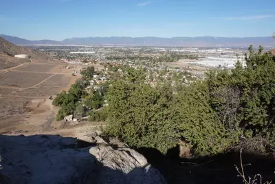 A sacred 13,000 year old tree faces off with a California real estate development