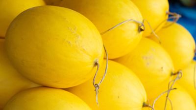 How and when to harvest spaghetti squash – signs of ripeness you need to know