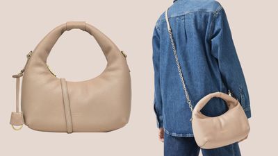 I'm buying this irresistible tan Radley bag for half price - and it's not too late to get yours in the flash sale