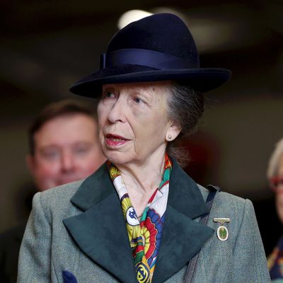 Princess Anne has spoken for the first time about her recent horse accident