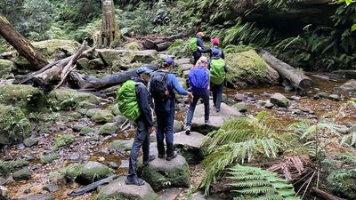 Bliss in the bush: women-only treks take off