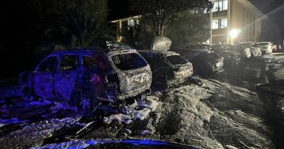 Cars destroyed in suspicious fire at Hunter hospital, building saved