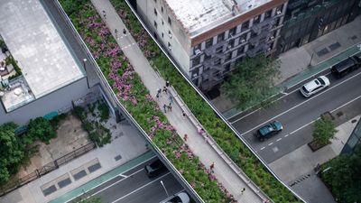 'One of the most significant public gardens of the 21st century' – what the High Line can teach us about resilient gardening