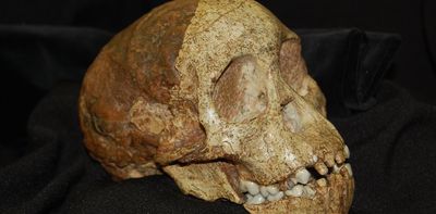 How old are South African fossils like the Taung Child? New study offers an answer