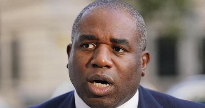 David Lammy calls for ceasefire as pressure mounts to ban arms exports to Israel