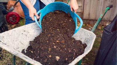 How to stop compost smelling bad – 5 expert methods to keep unpleasant odors away