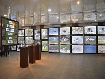 Uttarakhand: First bird gallery opened in Dehradun