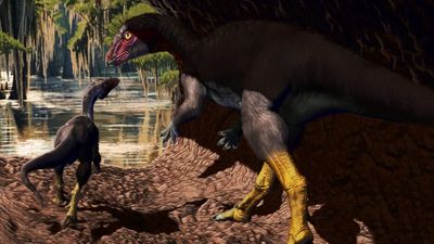 Pair of dog-size dinosaurs likely crushed to death in underground burrow collapse