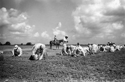 Texas’ Plantation Prisons: Inside a 200-Year History of Forced Labor Shrouded in Secrecy