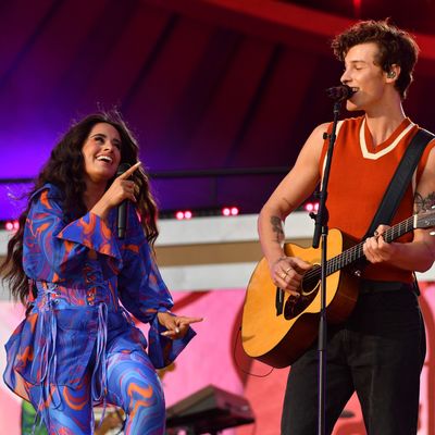 Camila Cabello and Shawn Mendes Spotted at the Copa América Final, Spark Reconciliation Rumors