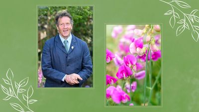 Monty Don shares the 'pleasant' task that ensures your sweet peas prosper