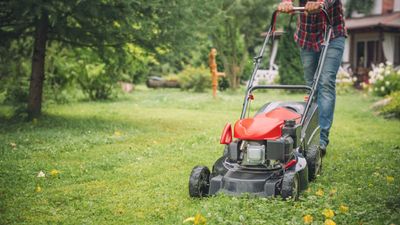 How to buy a lawnmower – 5 golden rules from a gardening product tester
