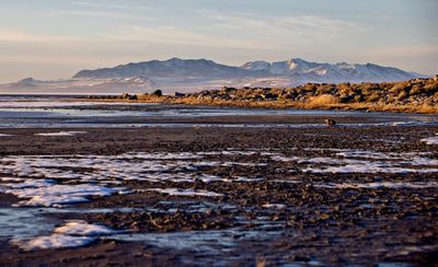 Hispanics and Pacific Islanders exposed disproportionately to toxins from Great Salt Lake – study