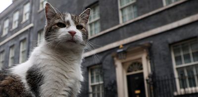 Chief Mouser Larry and the surprising power of political pets