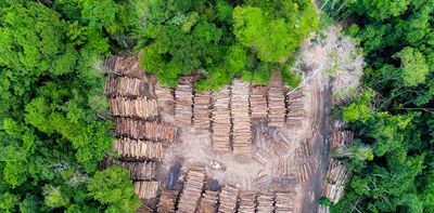 Amazon deforestation cut by 83% in places protected by Indigenous communities – new research