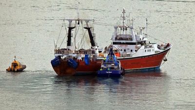 Kiwi super trawler targets threatened fish in Australia