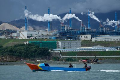 Indonesia's massive metals build-out is felling the forest for batteries