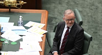 Unlike Keir Starmer’s, Albanese’s cabinet mostly went to elite fee-paying schools