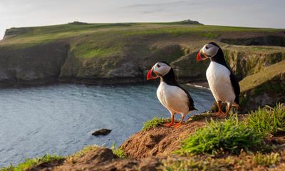 ‘I rediscovered Pembrokeshire and fell back in love’: readers share their favourite memories of Welsh holidays