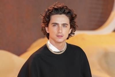 Timothée Chalamet In Final Negotiations For Lead Role In Marty Supreme