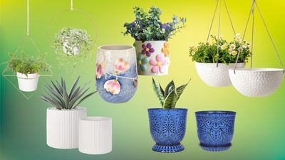 I'm an Advice and Gardens Editor — Here Are a Few Planters I'm Eyeing Up In This Year's Amazon Sale