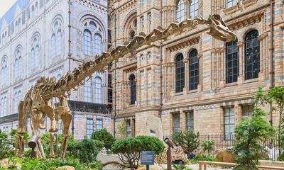 ‘You travel five million years a metre’: inside the Natural History Museum’s mind-boggling new garden
