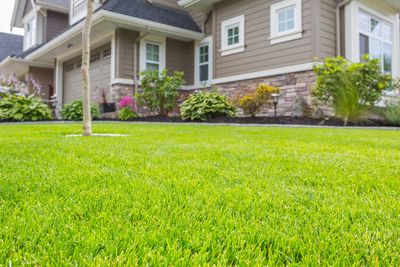 Beat the heat wave — 5 tips for keeping your lawn green