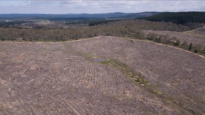 NSW government reveals plans to fix broken nature laws