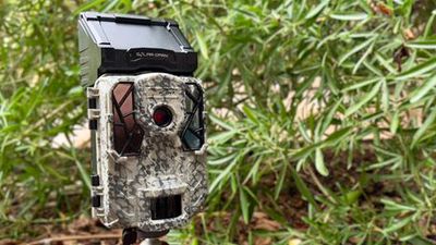 The world needs more trail cameras in more places, first-of-its-kind study shows