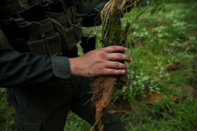 Paraguay Makes Record Cocaine Seizure In Sugar Shipment