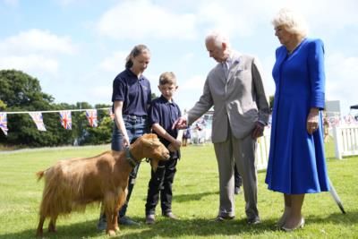 King Charles III Bestows Royal Title On Rare Golden Goat