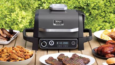 The most surprising grill we've tested just crashed to its lowest-ever price for Prime Day