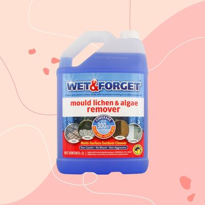 I tried Wet & Forget Mould, Lichen and Algae Remover to clean my path and driveway – the results were astounding and I’ll never use a pressure washer again