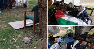 24 hours in: students remain chained to couch in pro Palestine protest