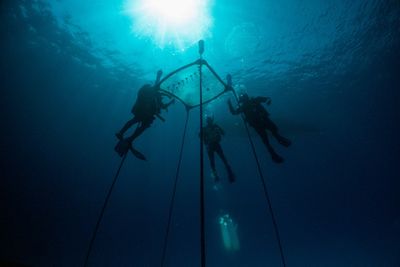 Cyprus Pioneers Coral Conservation Project In The Med