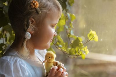 Adorable Friendship Between 3-Year-Old And Baby Ducklings Is Melting Hearts On The Internet