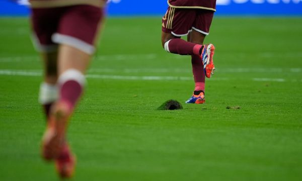 ‘A plague of liars’: what caused the disastrous pitches at Copa América?