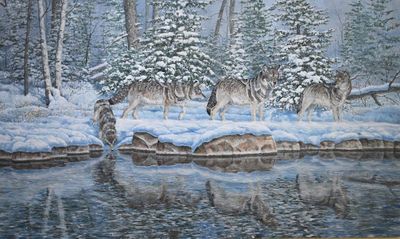 Robert E. Bear, Founder Of Cave Bear LLC, Showcases His Love For Nature Via Idyllic Wildlife Paintings