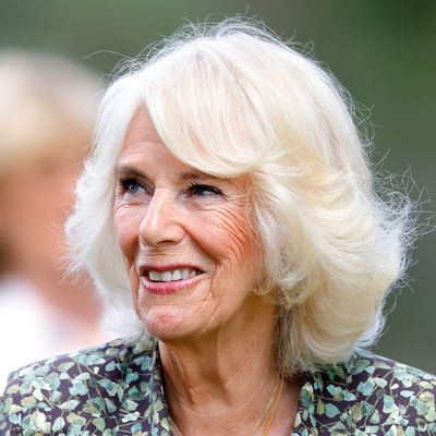 After Meeting a Teenage Prince William for the First Time, Then Camilla Parker-Bowles Quipped “I Need a Gin and Tonic,” Royal Author Writes
