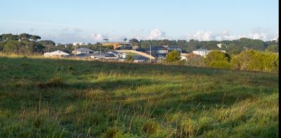 Our cities’ secret gardens: we connect with nature in neglected green spaces just as much as in parks