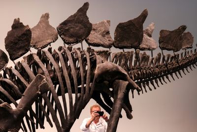 Dinosaur Skeleton Breaks Auction Record With $44.6 Mn Sale In New York